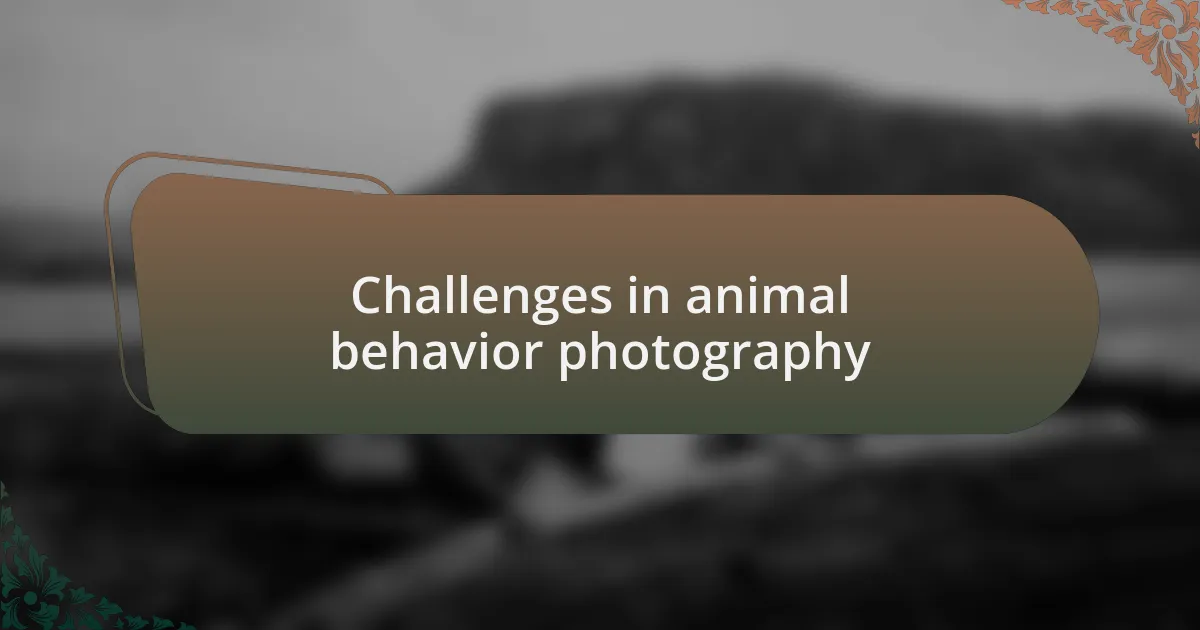 Challenges in animal behavior photography
