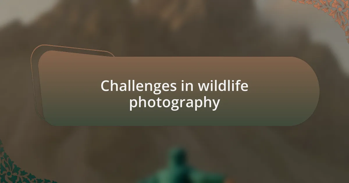 Challenges in wildlife photography