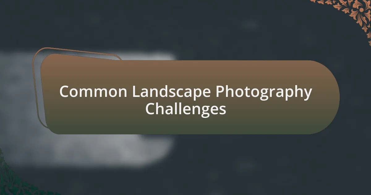 Common Landscape Photography Challenges