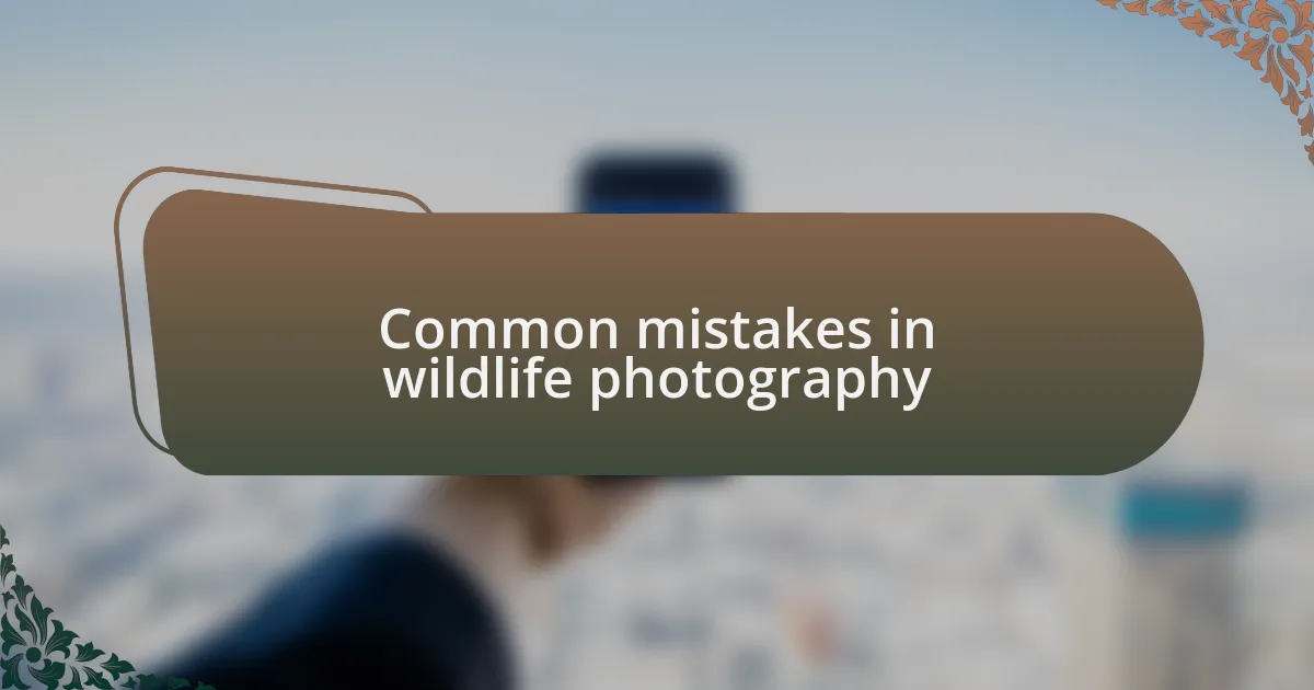 Common mistakes in wildlife photography