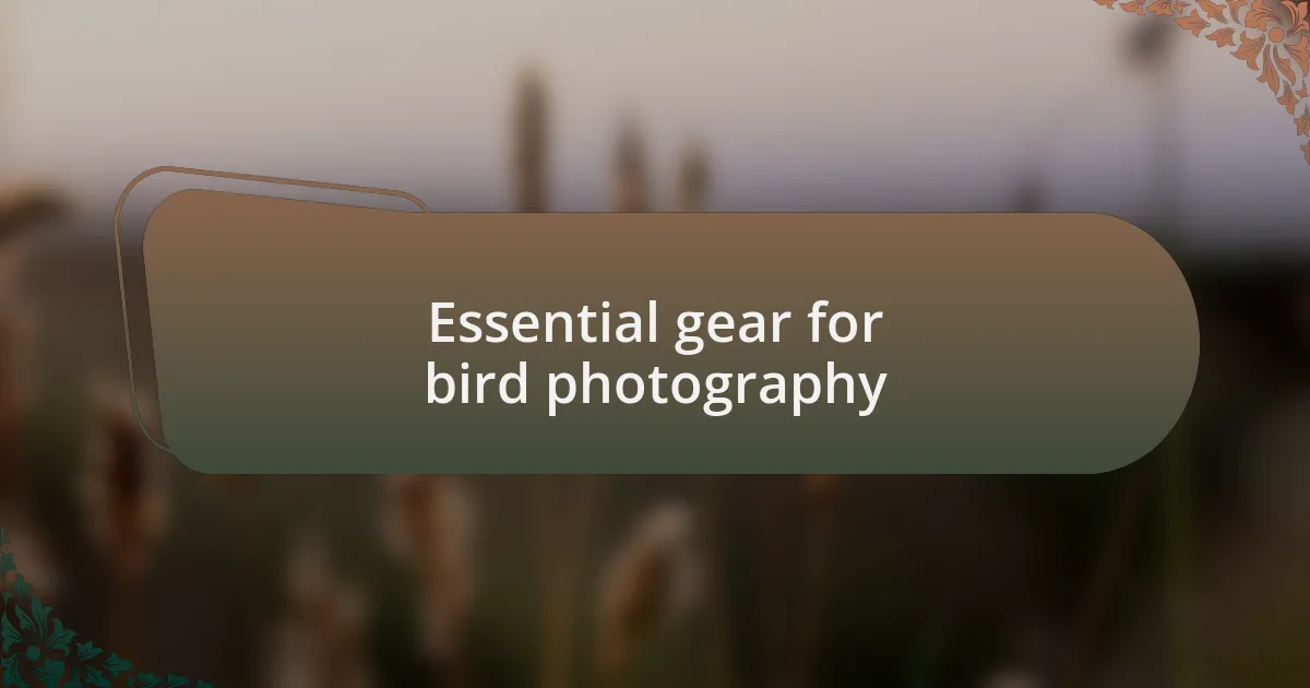 Essential gear for bird photography
