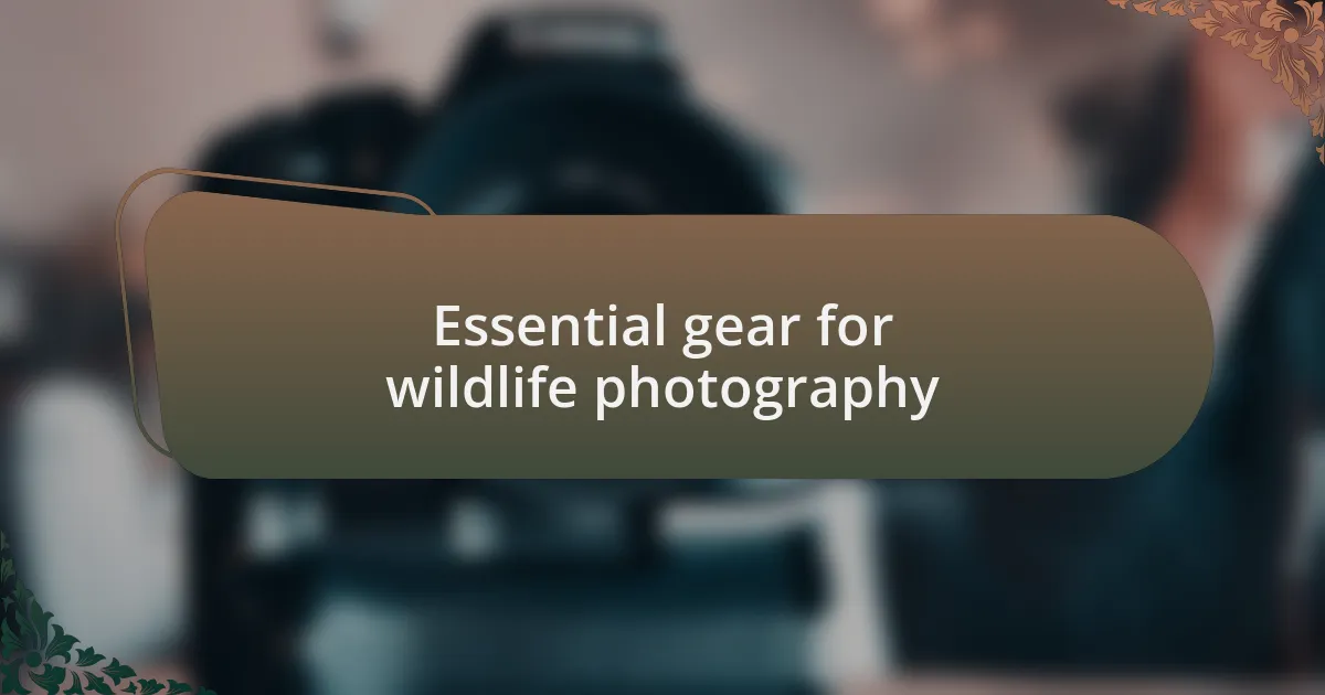 Essential gear for wildlife photography
