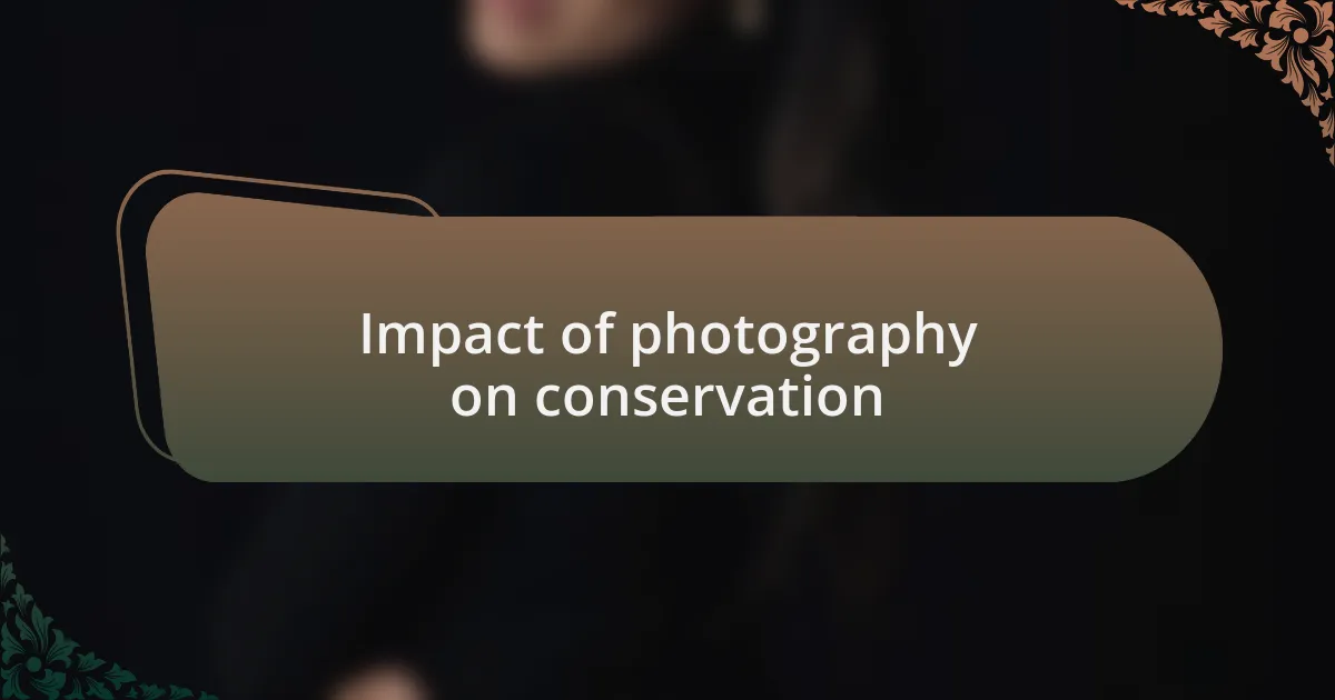 Impact of photography on conservation