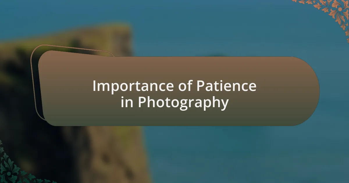 Importance of Patience in Photography