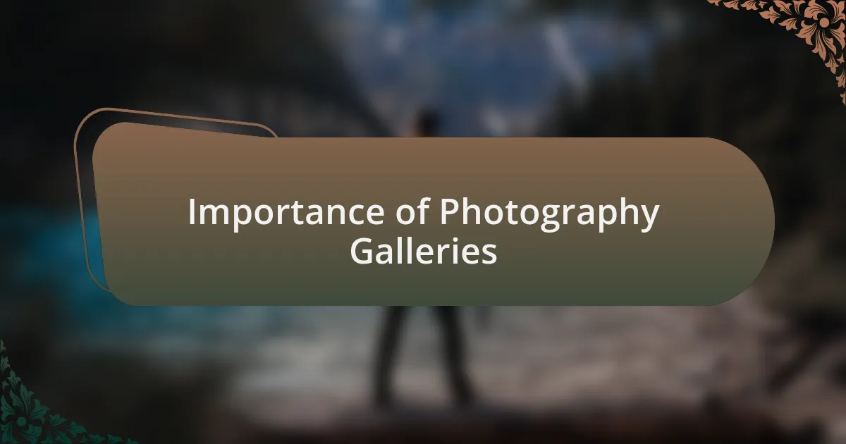 Importance of Photography Galleries