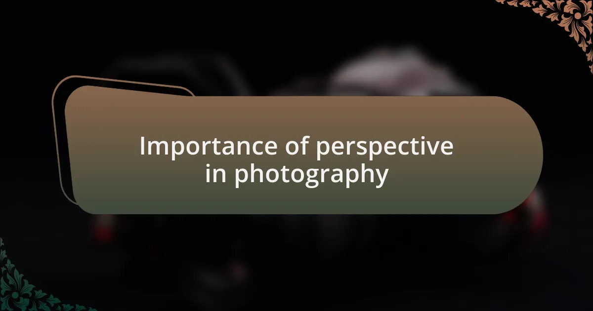 Importance of perspective in photography