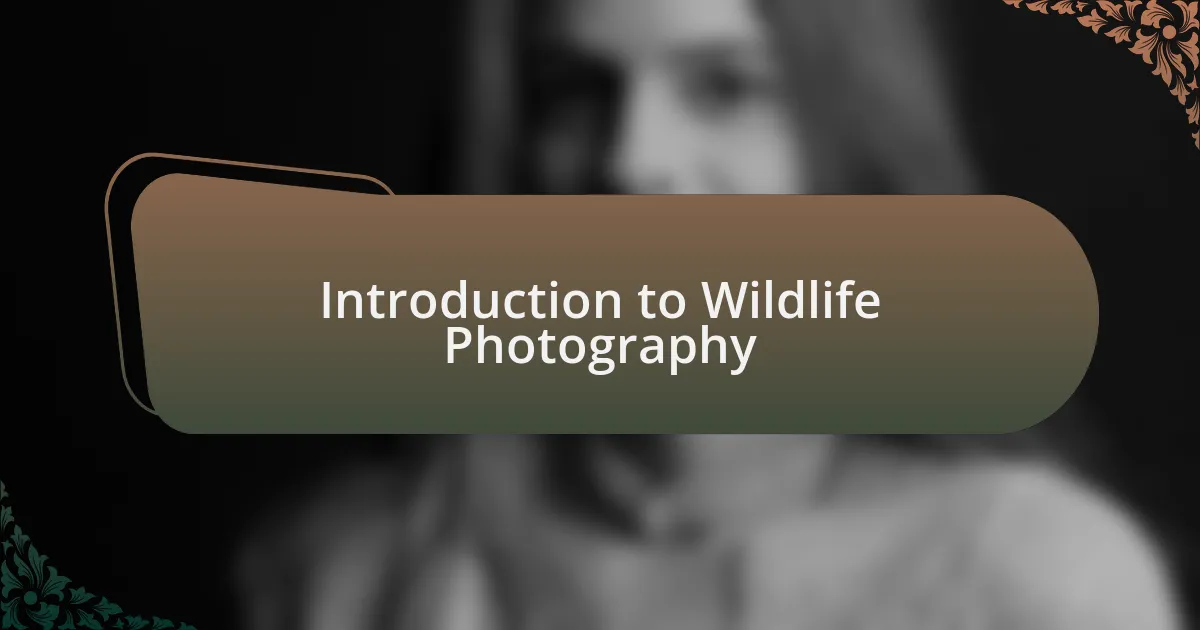 Introduction to Wildlife Photography