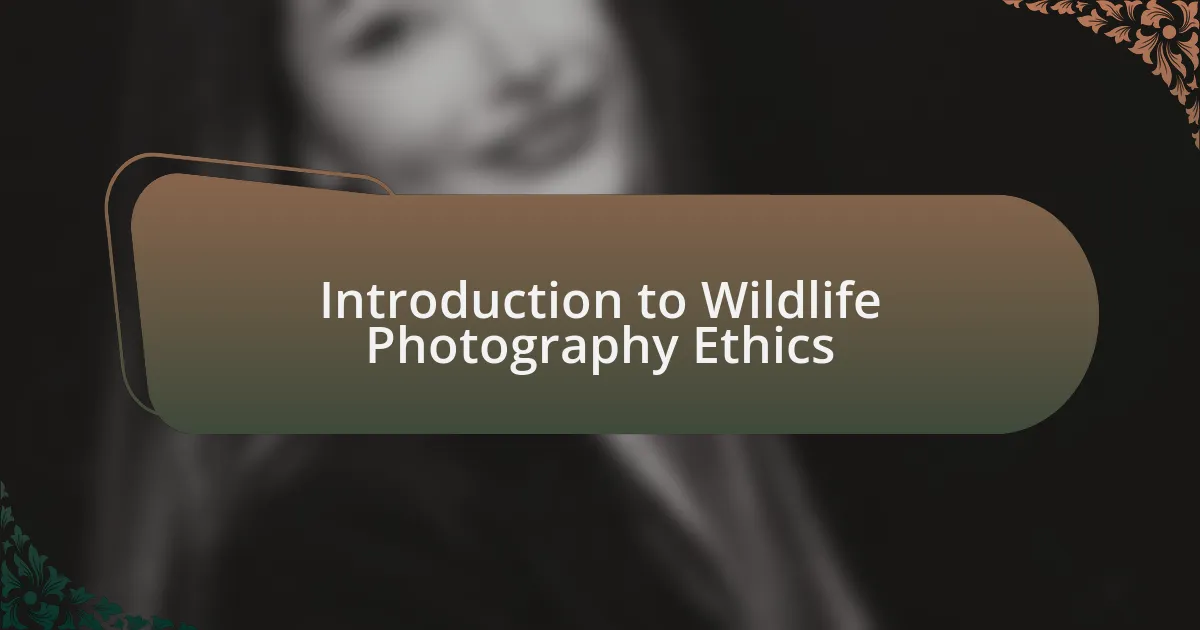 Introduction to Wildlife Photography Ethics