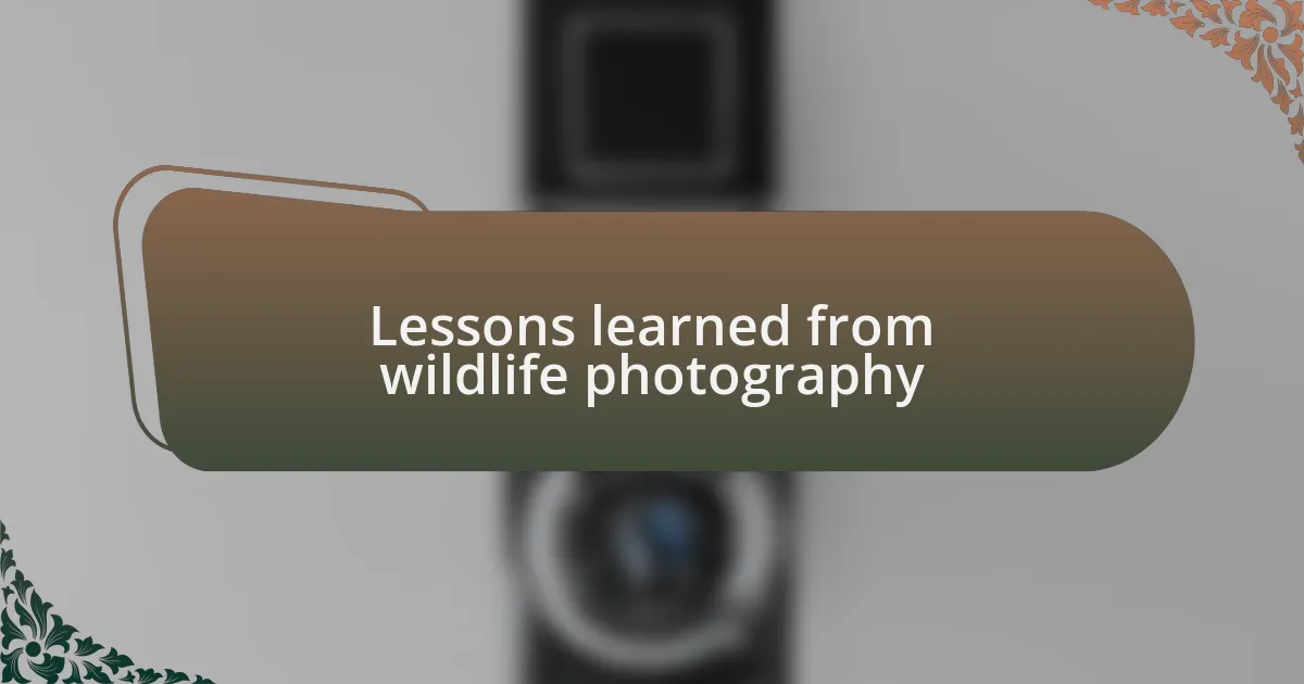 Lessons learned from wildlife photography