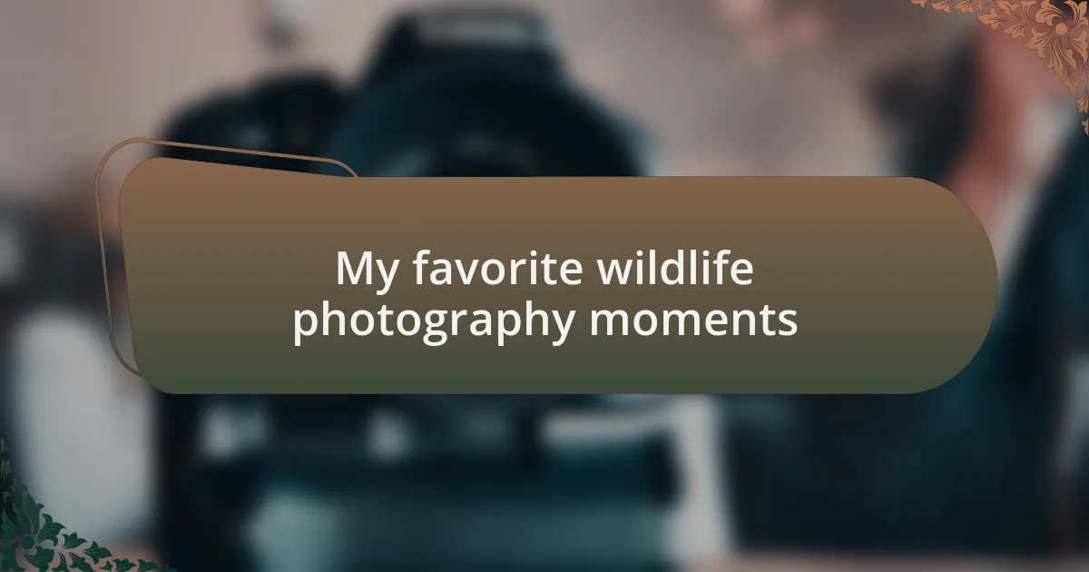 My favorite wildlife photography moments