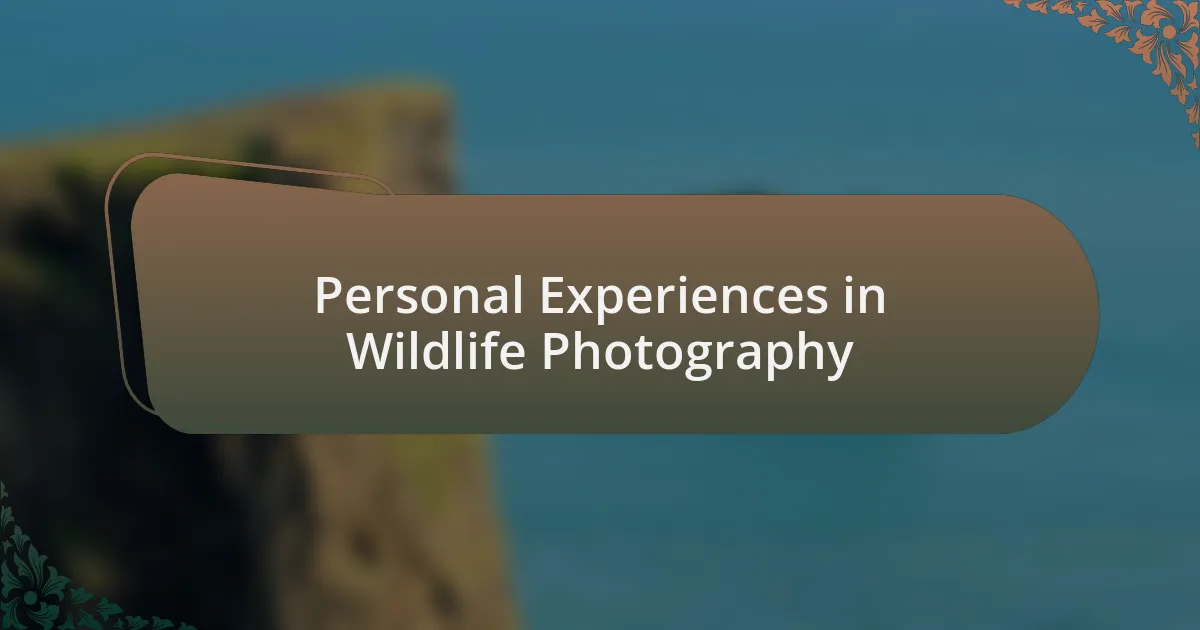 Personal Experiences in Wildlife Photography
