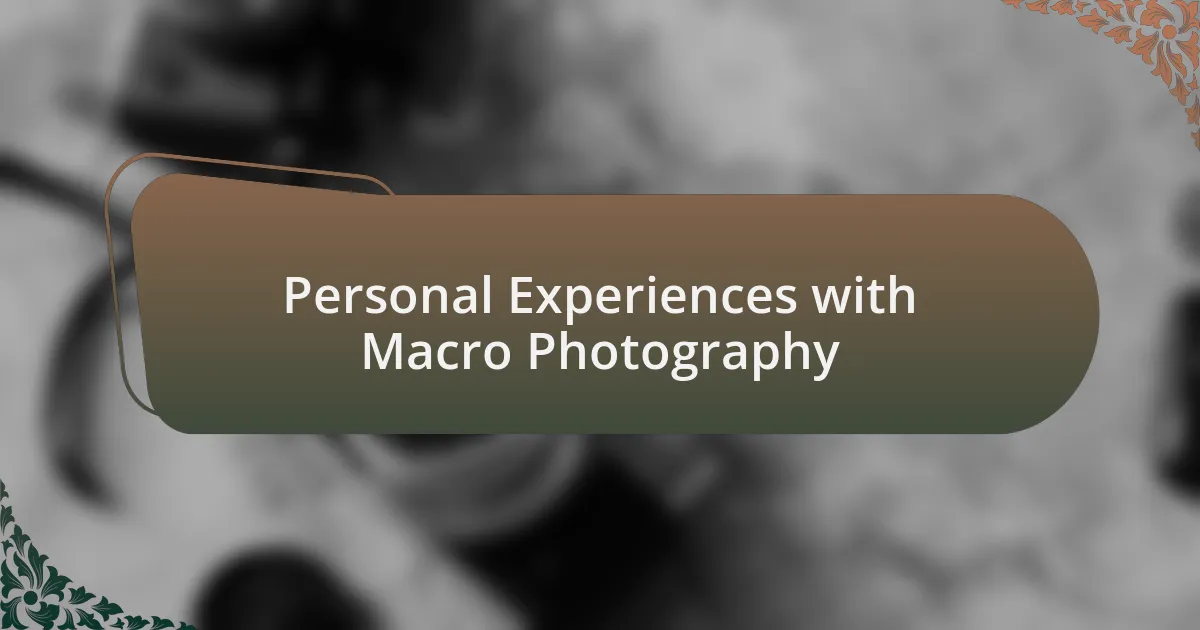 Personal Experiences with Macro Photography