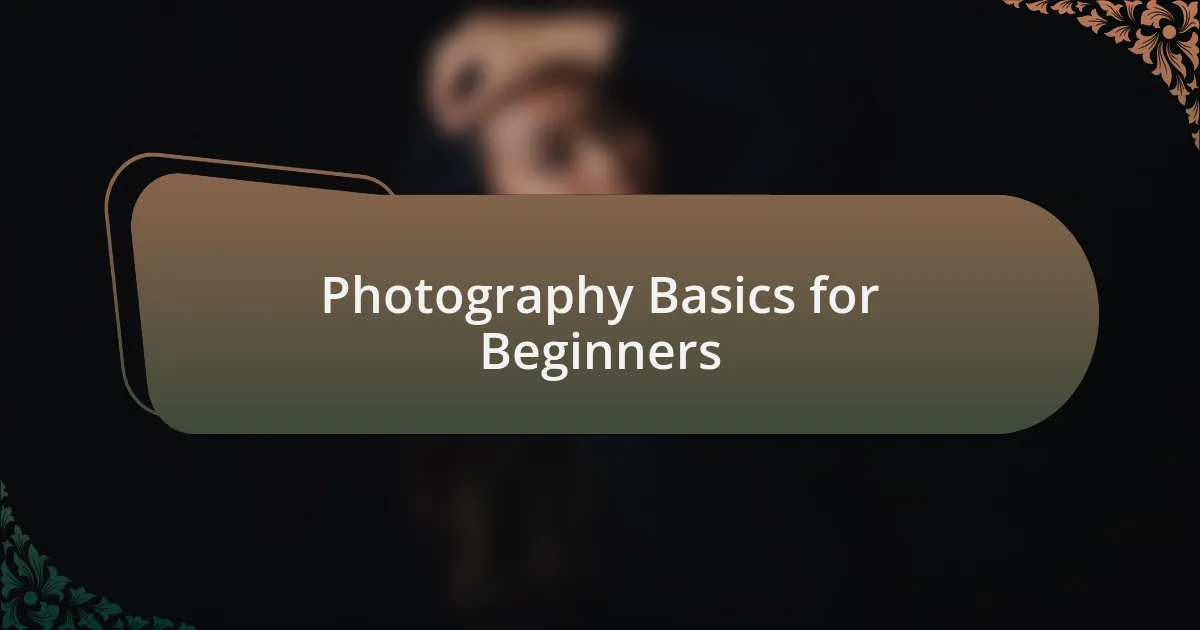 Photography Basics for Beginners