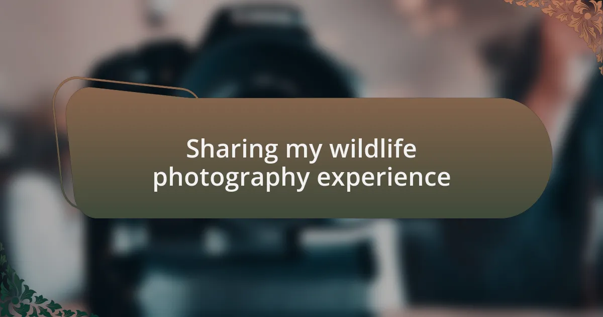 Sharing my wildlife photography experience