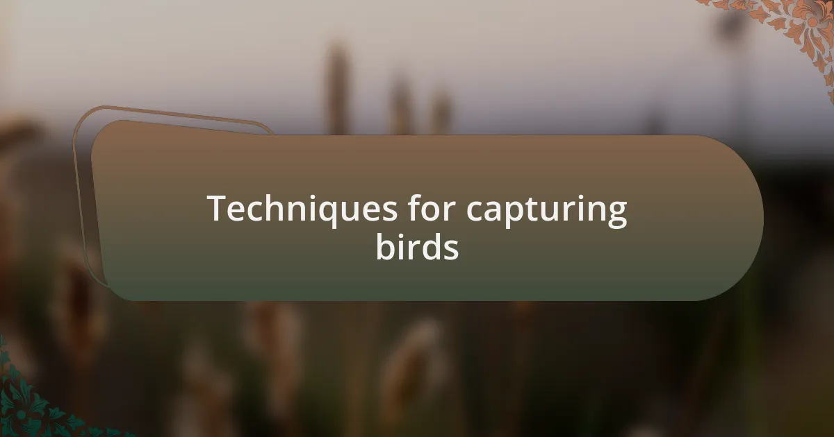 Techniques for capturing birds