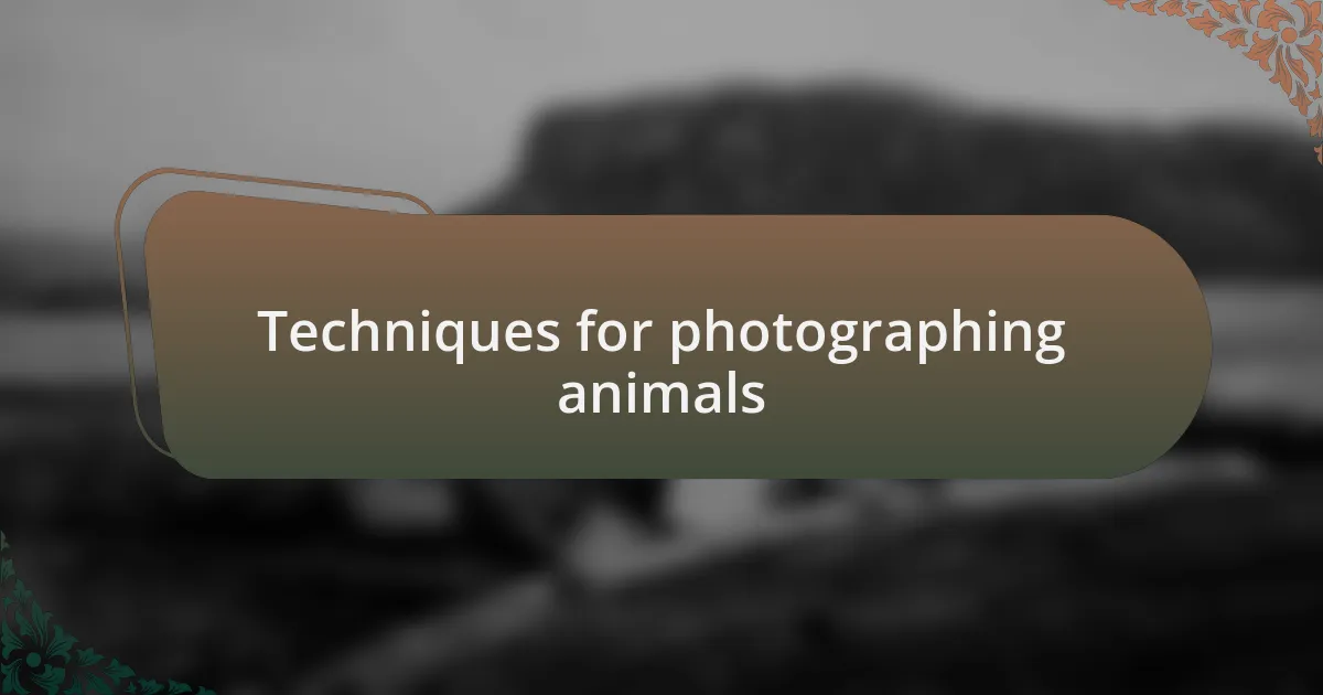 Techniques for photographing animals