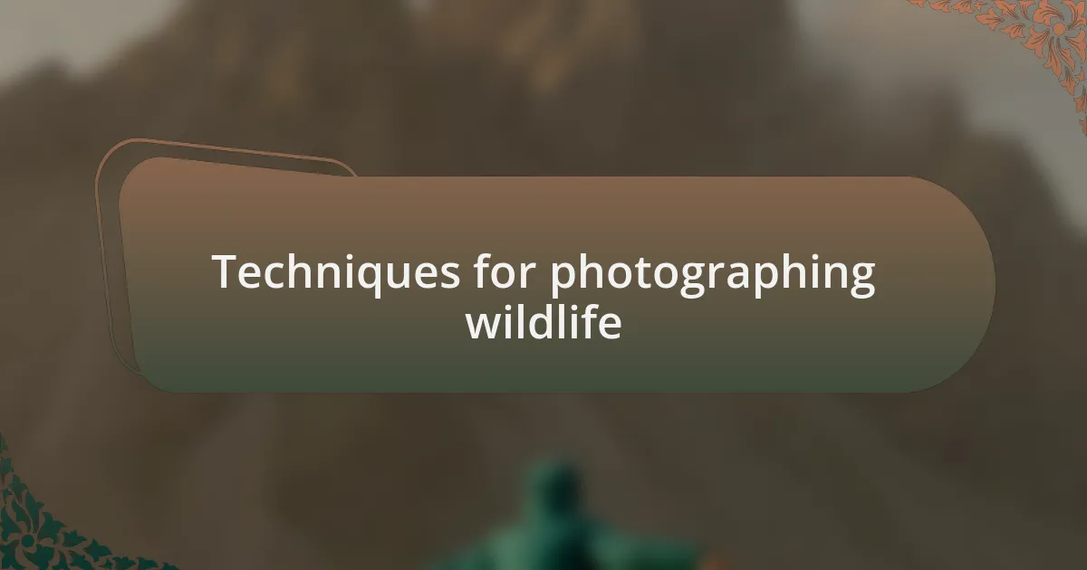 Techniques for photographing wildlife