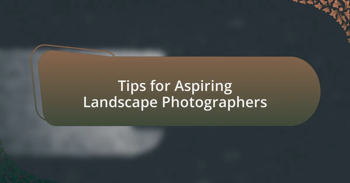 Tips for Aspiring Landscape Photographers
