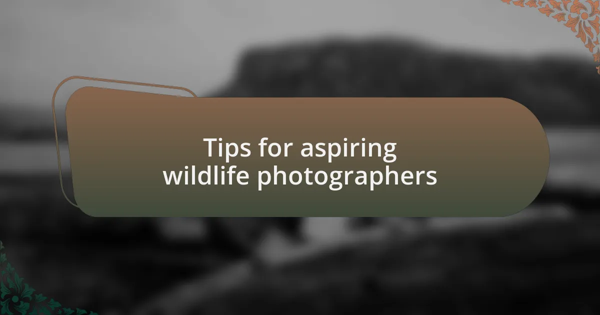 Tips for aspiring wildlife photographers