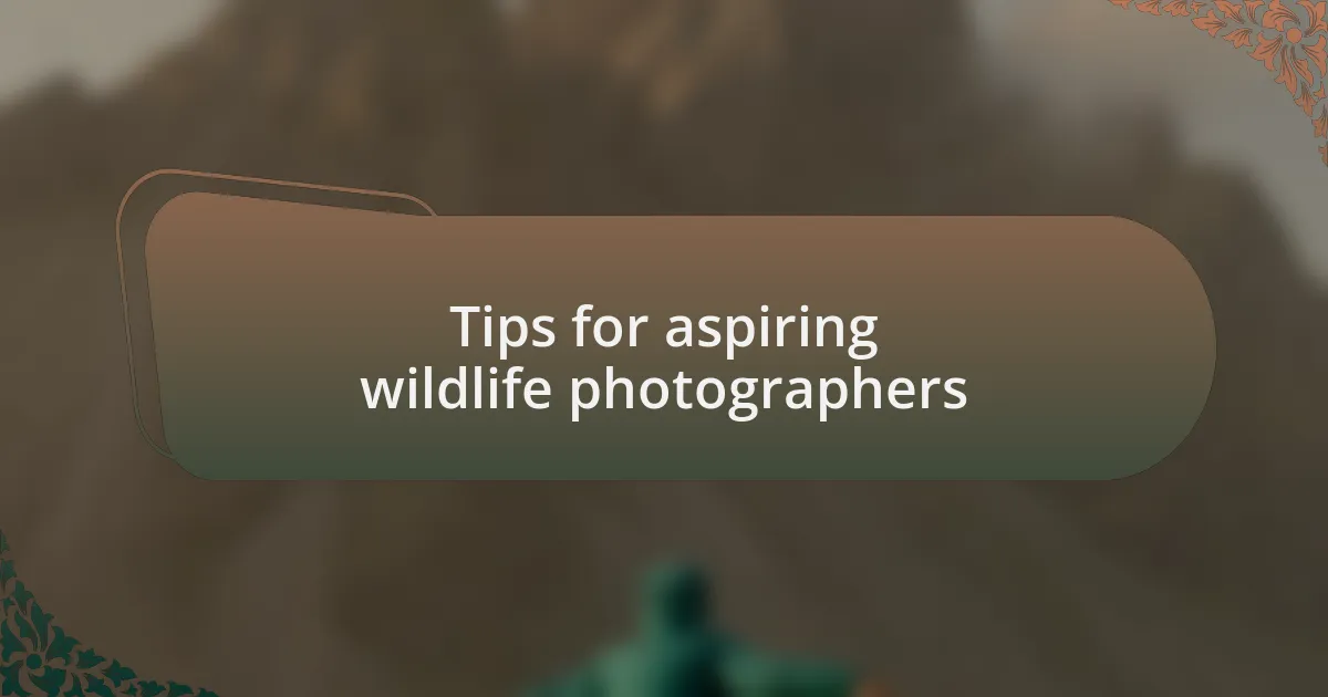 Tips for aspiring wildlife photographers