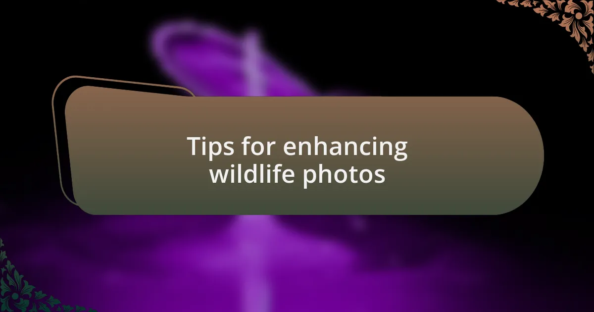 Tips for enhancing wildlife photos