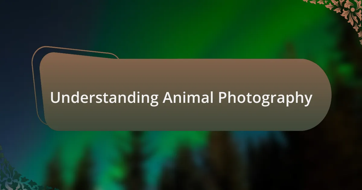 Understanding Animal Photography