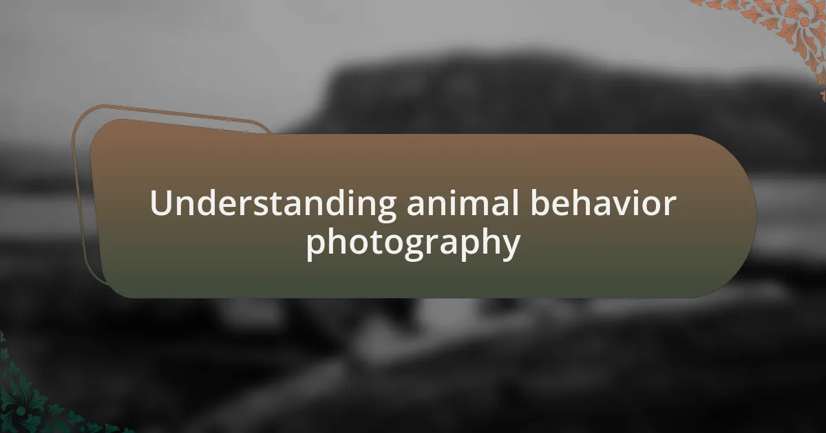 Understanding animal behavior photography