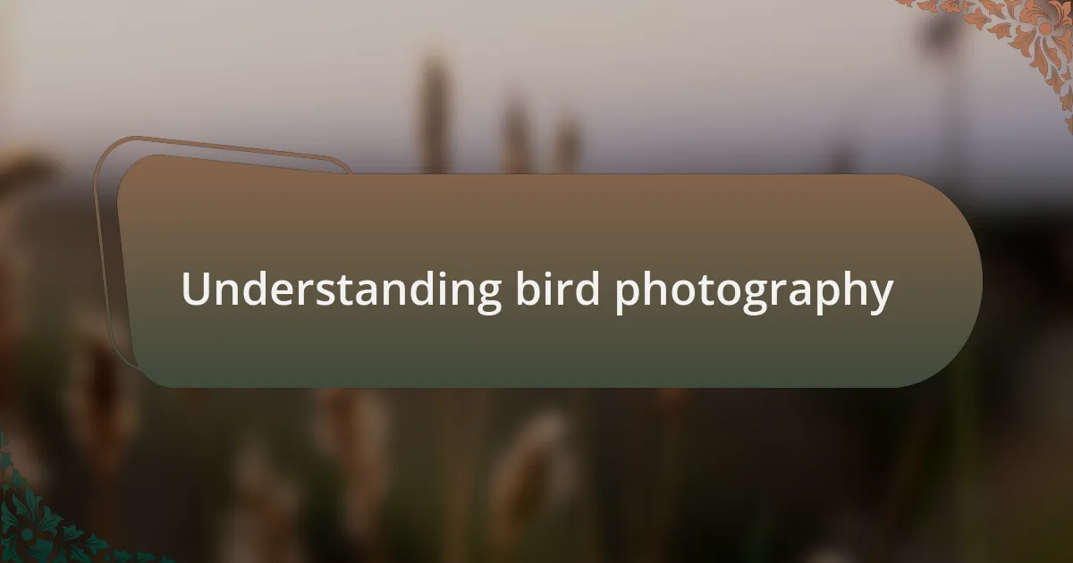 Understanding bird photography
